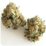 Шишки "White Widow"  (Белая вдова)  Гидропоника -  Бошка VHQ в Марксе