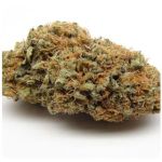 Шишки AK47  (Гидропоника, Бошка) VHQ в Марксе